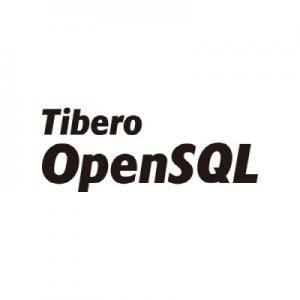 티맥스, ‘티베로 오픈SQL’ 올해 하반기 출시